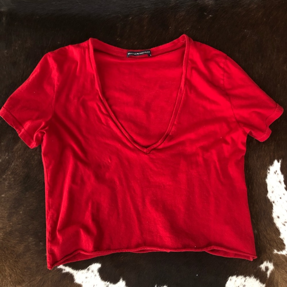 Brandy Melville Cropped T-Shirt